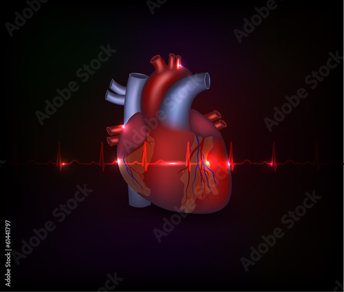 Beautiful cardiology heart design and normal cardiogram