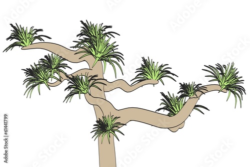 cartoon image of succulent plant