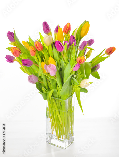 Wallpaper Mural Vase of Tulips isolated Torontodigital.ca