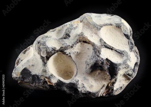 flint in limestone, eroded, found on Rügen, Germany, /bl