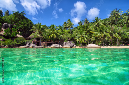 Tropical Paradise - lovely romantic beach view