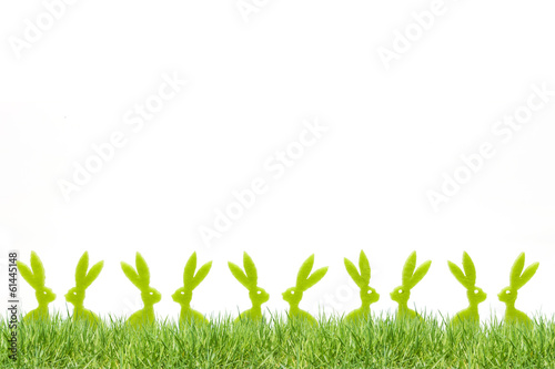 Osterhasen in der Wiese