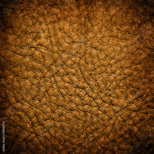 Brown leather © Piotr Krzeslak
