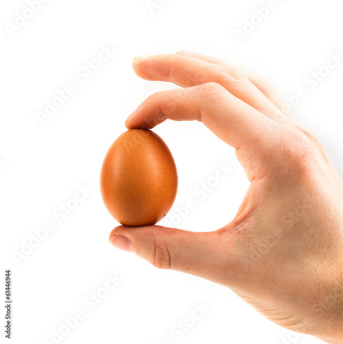 hand holding an egg isolated on white background