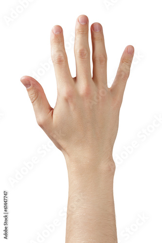 adult man hand showing five fingers