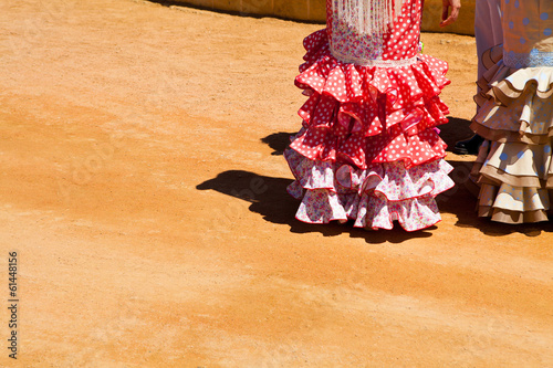 closeup of a flamenco costume typical of Spain photo