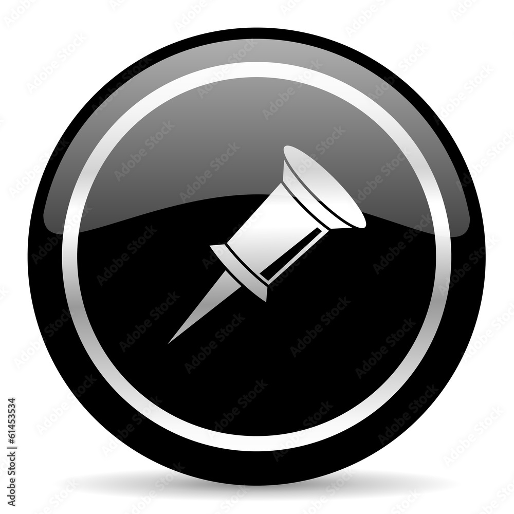 pin icon pin icon