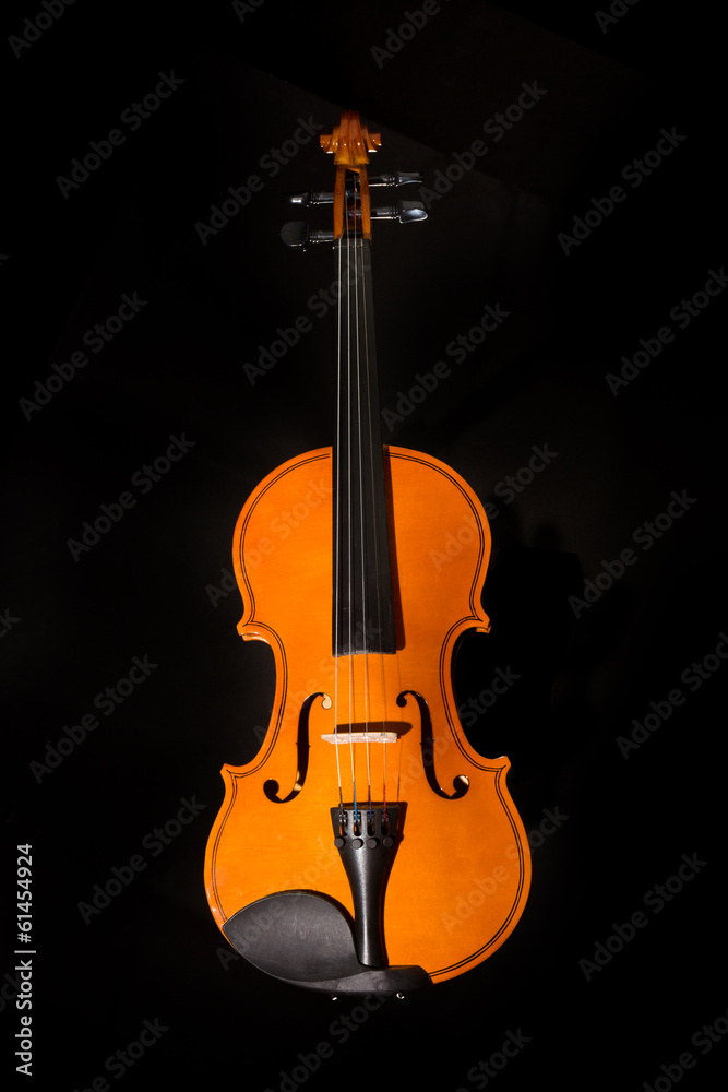 Fototapeta premium violin with smoke