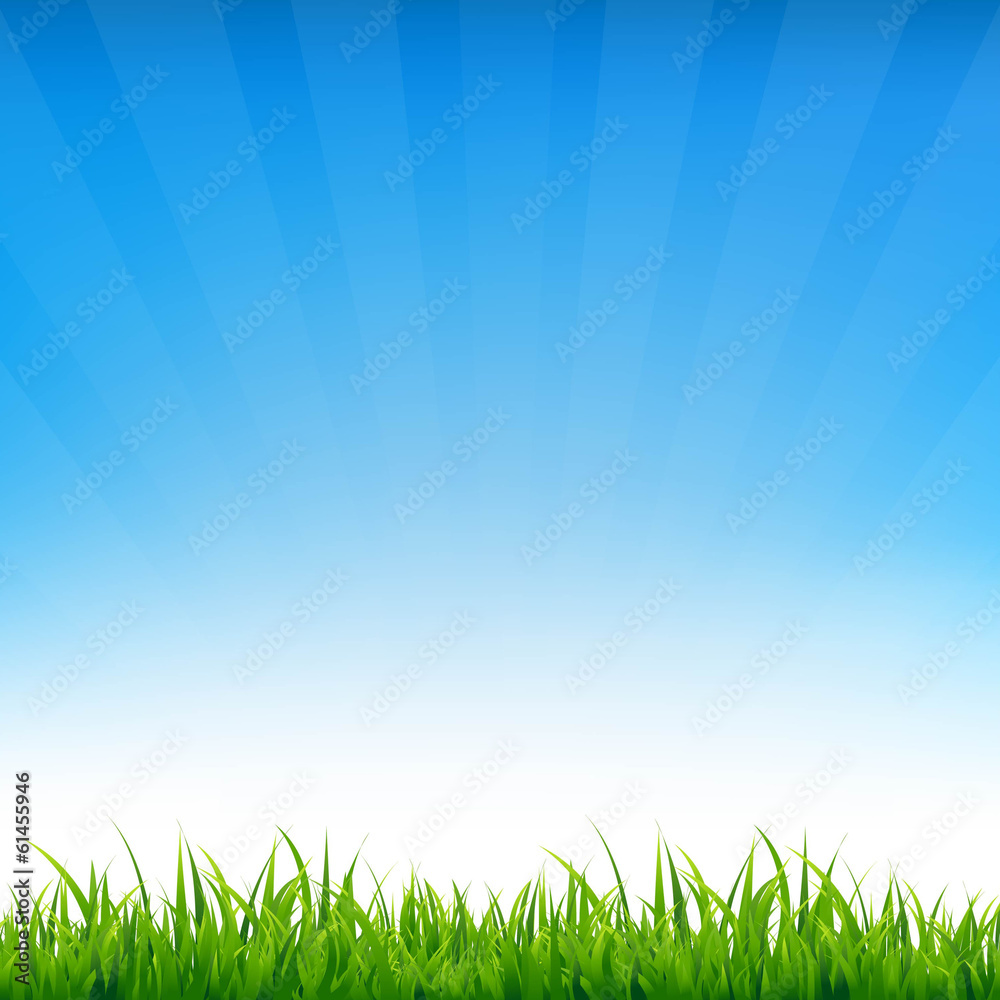 Obraz premium Blue Sky With Grass