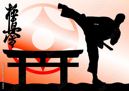 Martial arts colored  simbol, poster texture background. Fist. photo