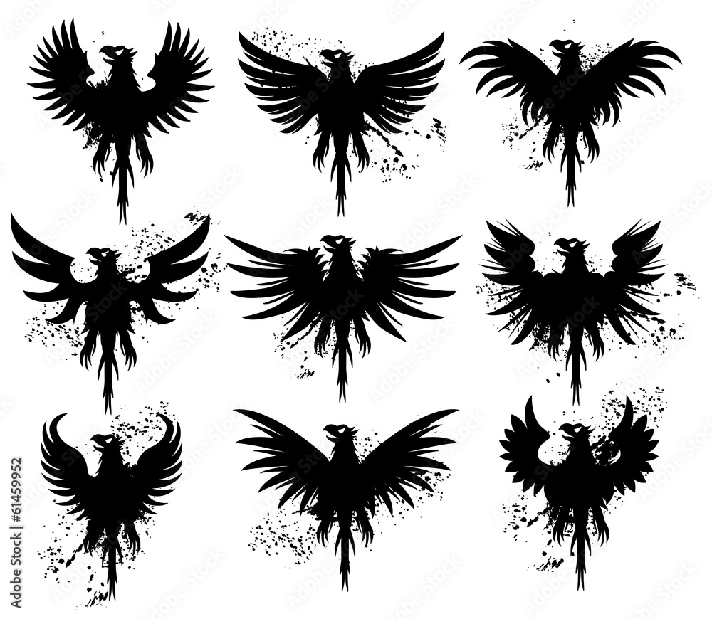 Griffin grunge Griffin grunge