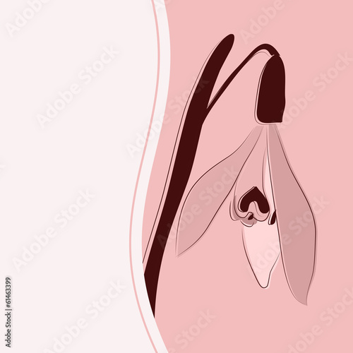 greeting card flower on the pink background?