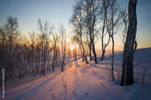 Sunrise in winter