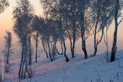 Sunrise in winter