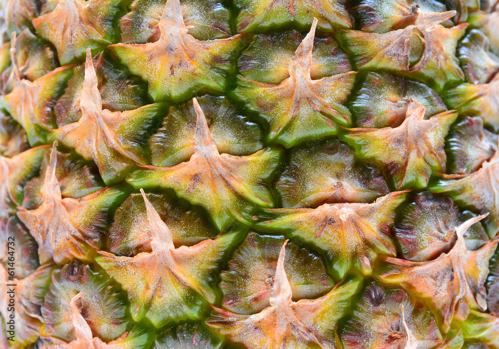 pineapple peel pineapple peel