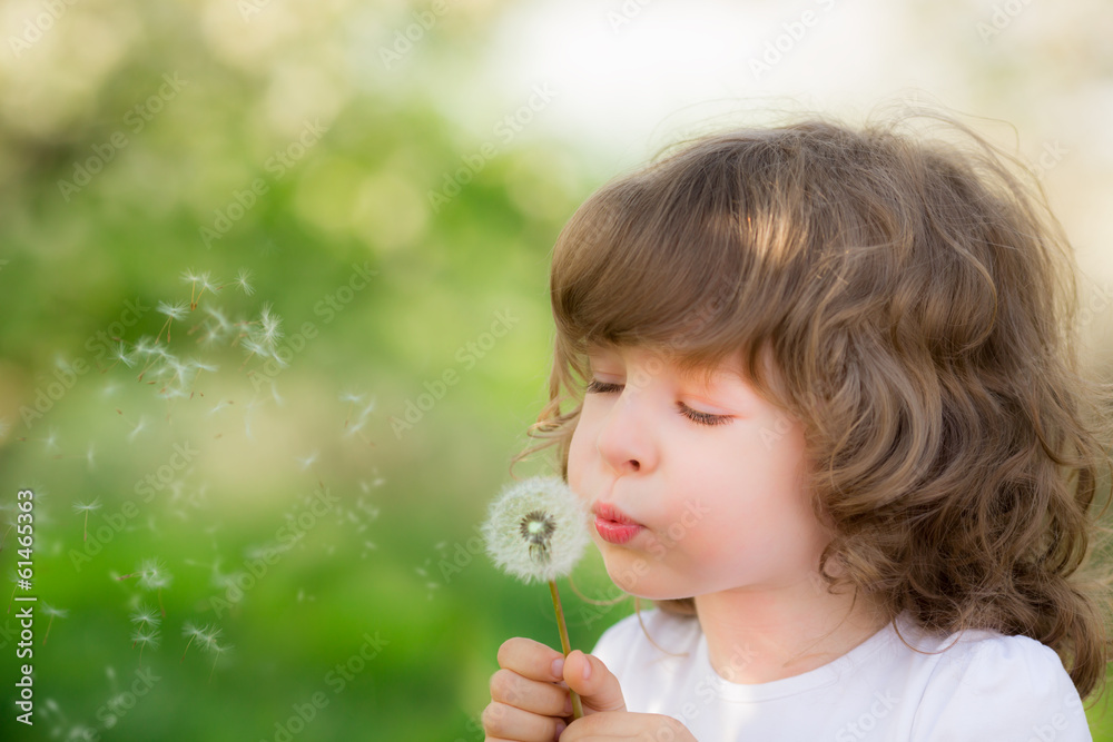 Happy child blowing dandelion