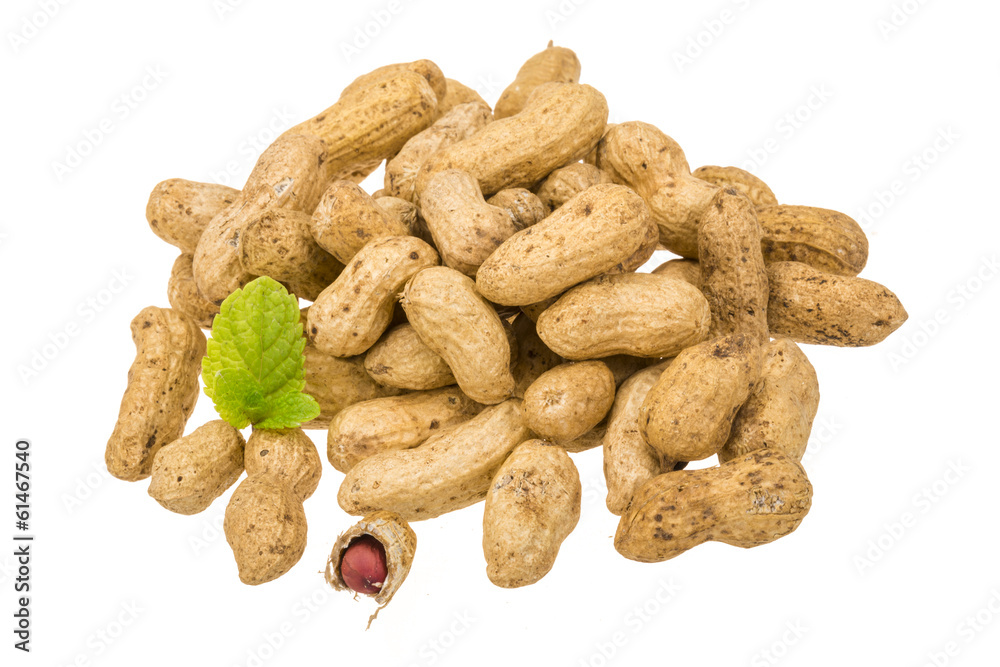 Peanut Peanut