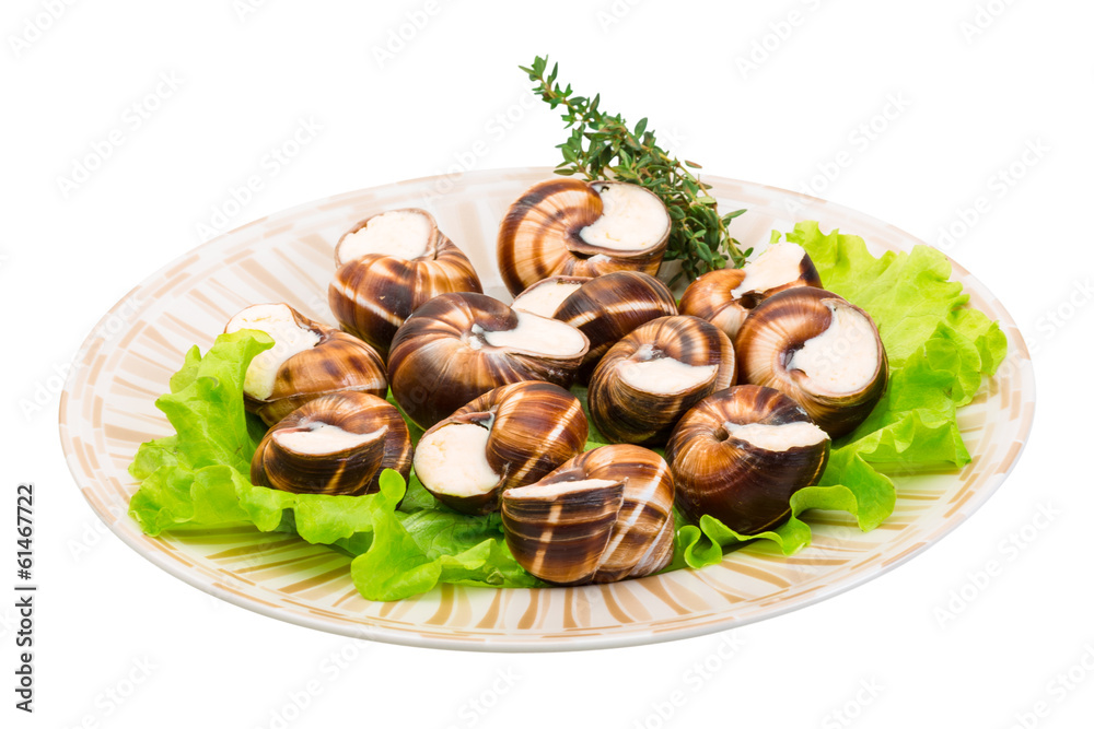 Escargot Escargot