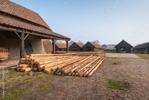 Piled long trunks on an old factory site in Belgium