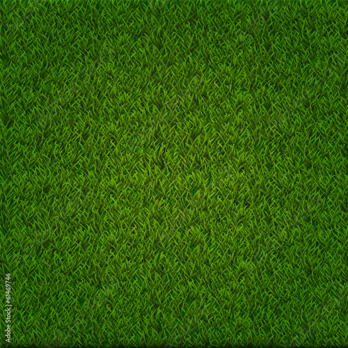 green grass background