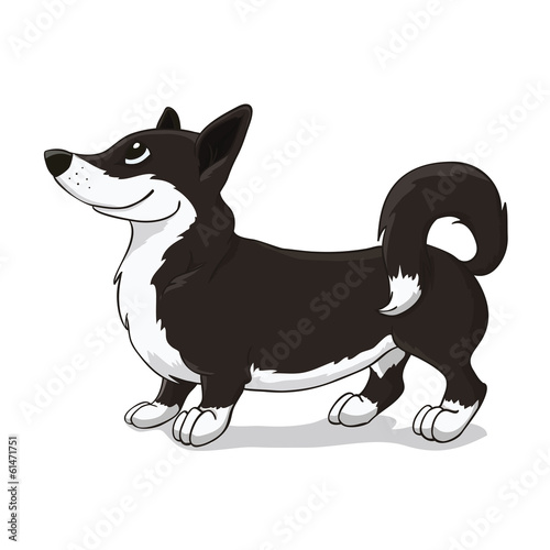 Welsh Corgi dark