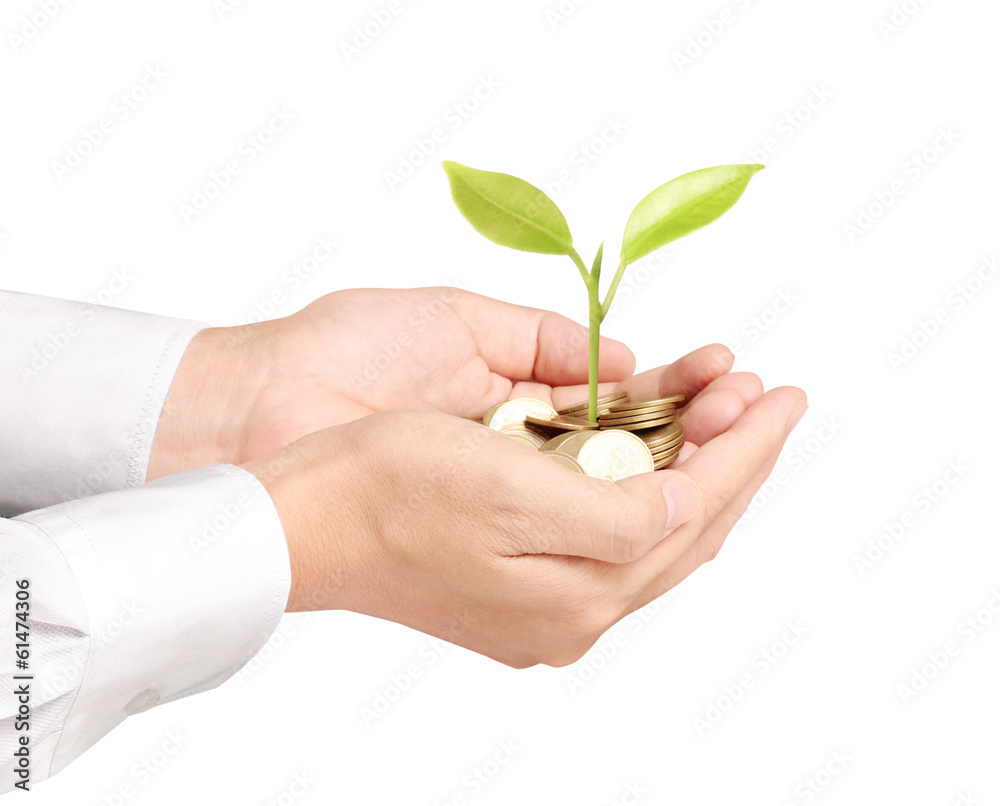 Businessman holding plant sprouting from handful of coins Businessman holding plant sprouting from handful of coins