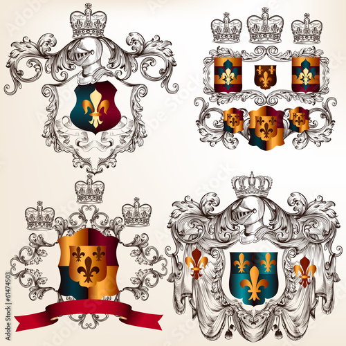 Set of vector heraldic design elements with  coat of arms in vin