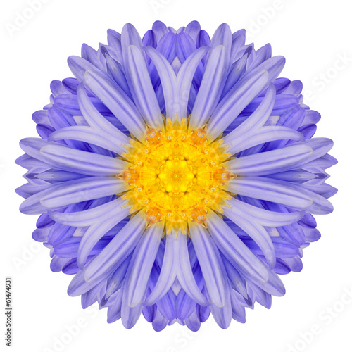 Blue Chrysanthemum Mandala Flower Kaleidoscope Isolated on White