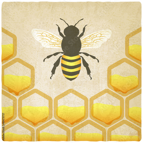 bee honeycomb old background