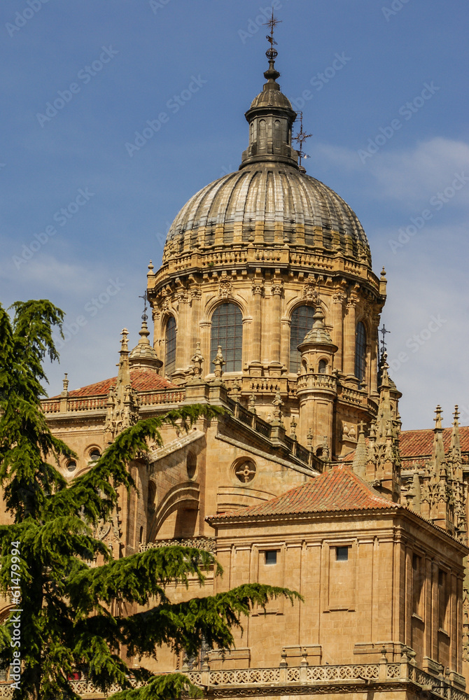 Obraz premium One of the towers of the New Cathedral of Salamanca, Spain, UNES