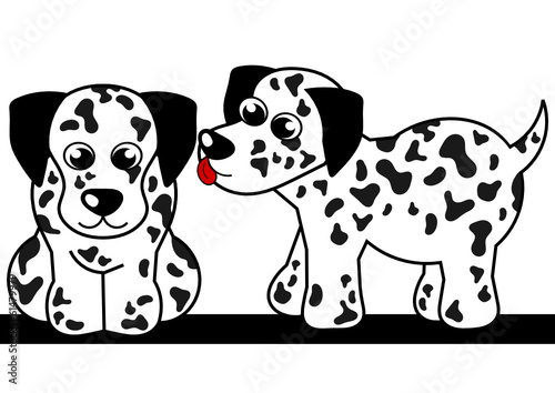 two dalmatian puppies