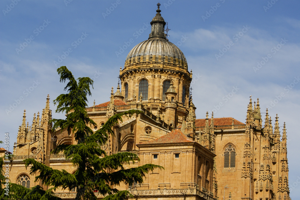 One of the towers of the New Cathedral of Salamanca, Spain, UNES