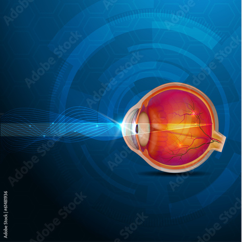 Colorful human eye, normal sight abstract design