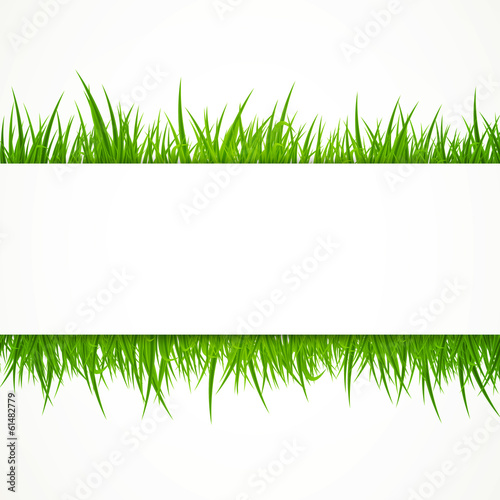 Vector Illustration of an Abstract Background with Grass