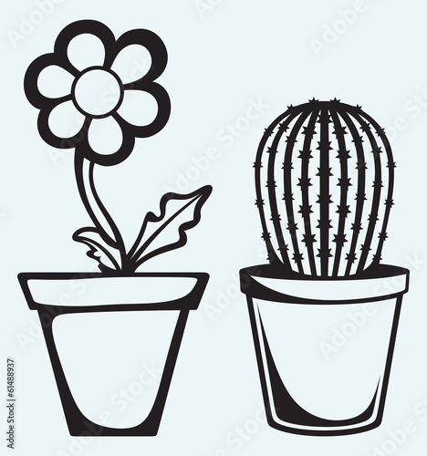 Fototapeta Naklejka Na Ścianę i Meble -  Flowers in pots isolated on blue background