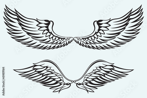 Angel wings isolated on blue batskground