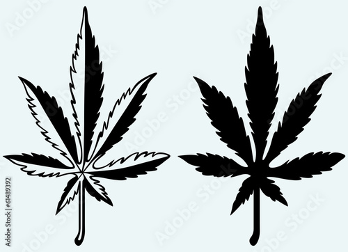 Cannabis leaf silhouette. Marijuana