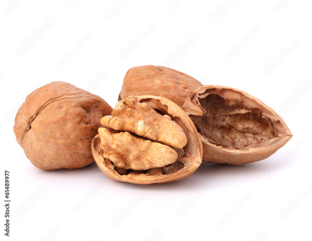 walnut walnut