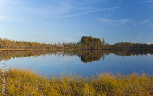 Tranquil scene of a small lake, Dalana, Sweden