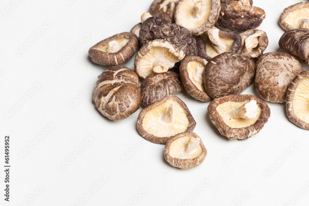 Shiitake Mushrooms Shiitake Mushrooms