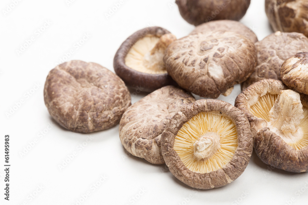 Shiitake Mushrooms Shiitake Mushrooms