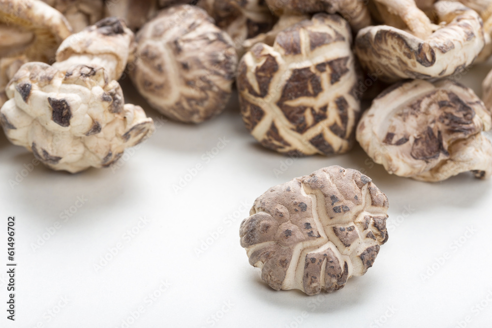 Shiitake Mushrooms Shiitake Mushrooms