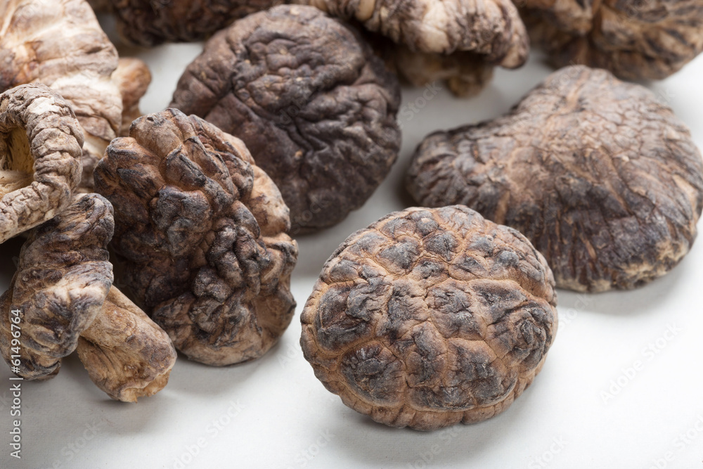 Shiitake Mushrooms Shiitake Mushrooms
