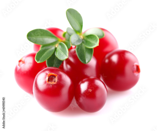 Cranberry with leaves