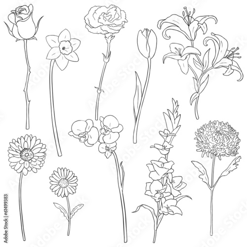 Fototapeta Naklejka Na Ścianę i Meble -  Vector Set of Outline Flowers