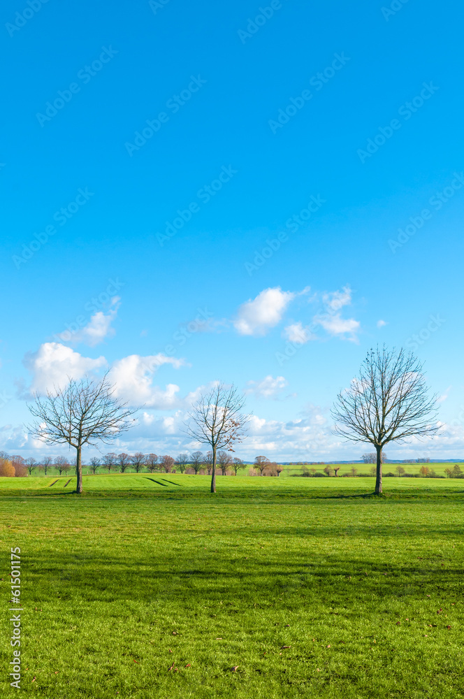 Sonnige Landschaft mit Weiden und Feldern, Frühlingsanfang