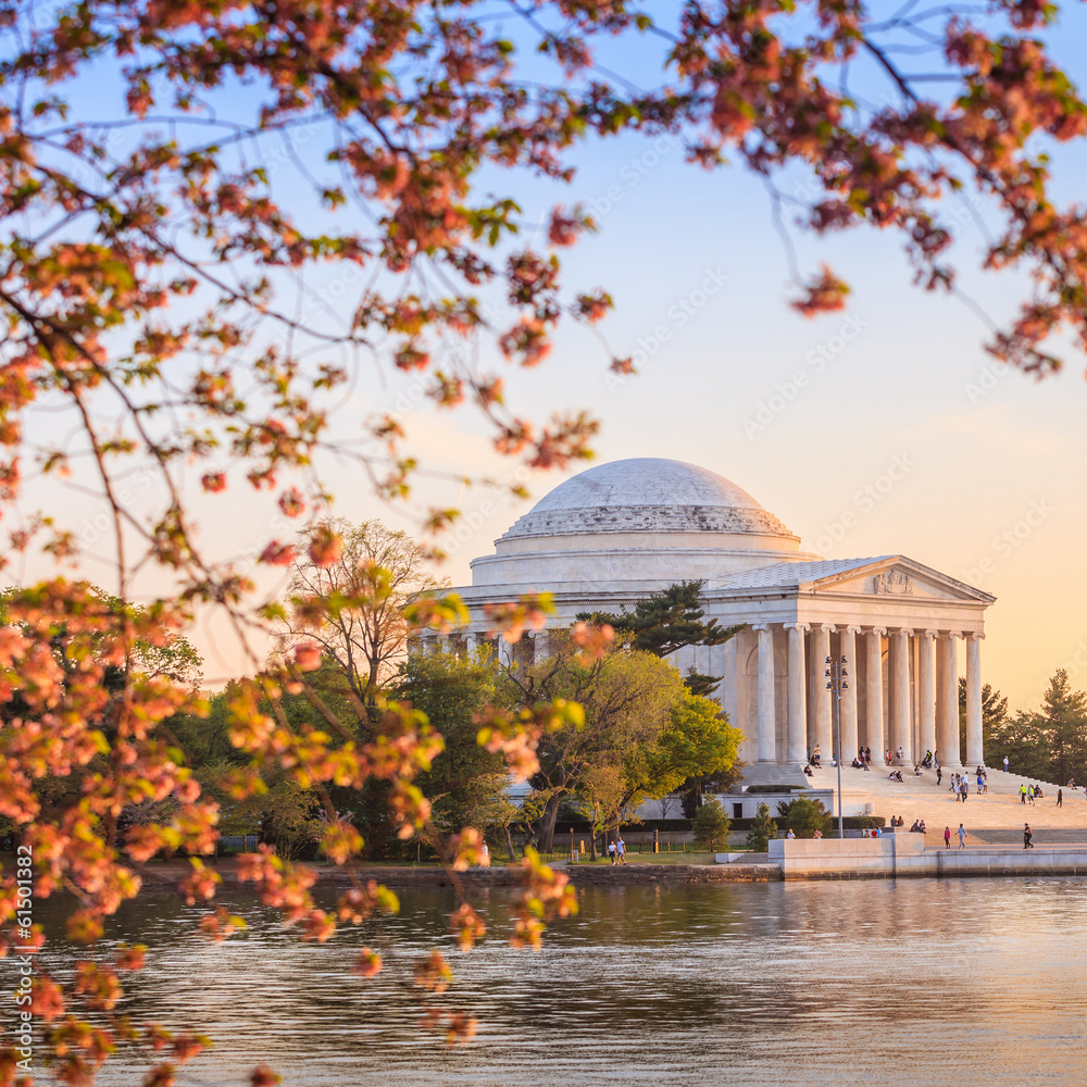 Obraz premium the Jefferson Memorial during the Cherry Blossom Festival in DC