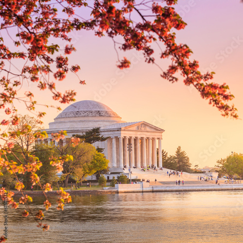 the Jefferson Memorial during the Cherry Blossom Festival in DC