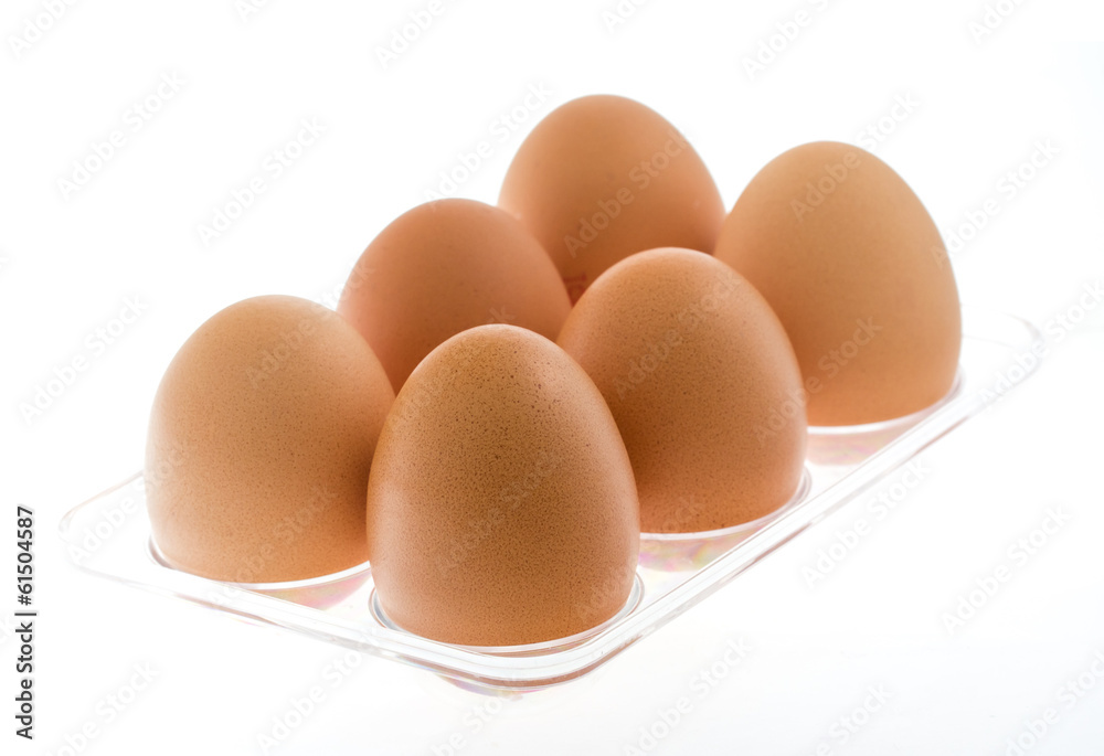 Chicken brown eggs Chicken brown eggs