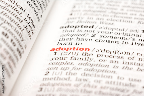 Adoption Word Definition In Dictionary